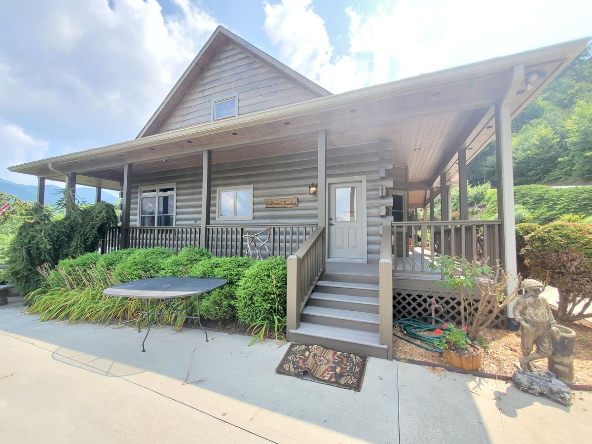 Cabin staining hiawassee ga